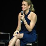 Panel Shantel Vansanten - Arc Con - Photo : Kevvvvvvv_