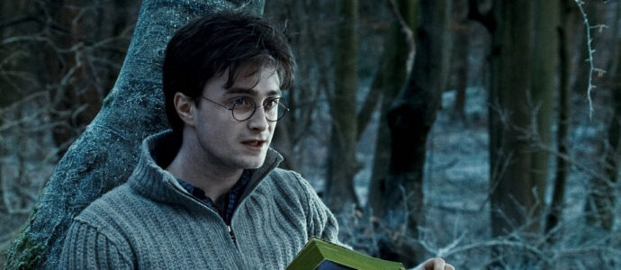 Harry Potter et l'Enfant Maudit : un film en préparation avec Daniel Radcliffe ?