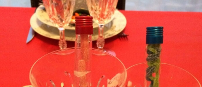 Tuto DIY : idée décoration de table pour Noël 🎉 (tubes à essai bonbons)