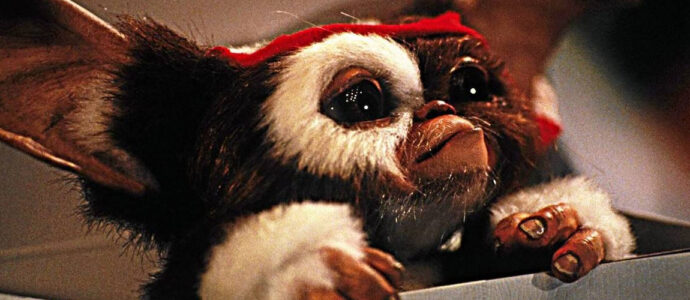 Gremlins : une série animée en développement pour Warner Gremlins : une série animée en développement pour Warner