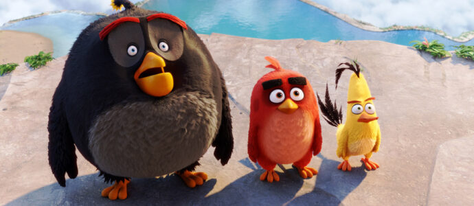 Angry Birds: Netflix orders a new animated series Angry Birds: Netflix orders a new animated series