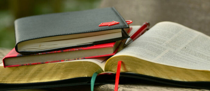10 livres qui vous permettront de vous coucher moins bête 10 livres qui vous permettront de vous coucher moins bête