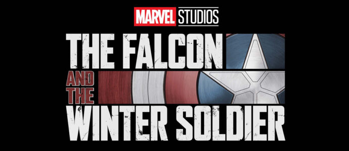 Quiz: how well do you know the tv show Falcon and The Winter Soldier?