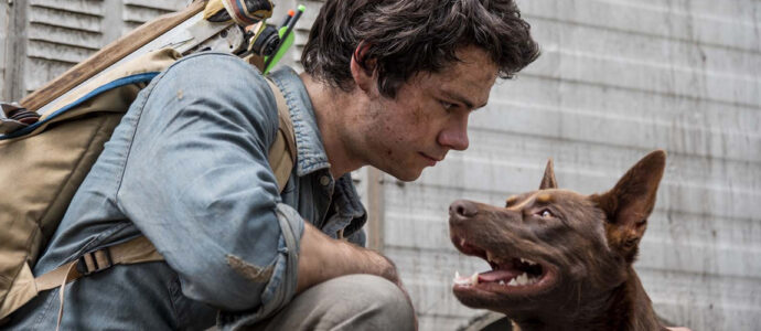 Nouveau film pour Dylan O'Brien, Love and Monsters bientôt sur Netflix