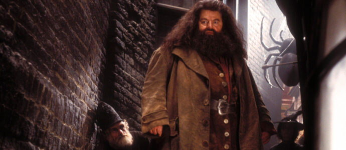 Harry Potter: Robbie Coltrane, the actor who played Hagrid, passed away