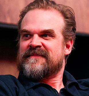TV / Movie convention with David Harbour
