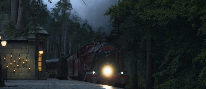 Harry Potter: Three New Actors Join Season 2